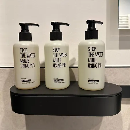 Auhof - 巴德加斯坦